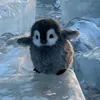 ThePenguinVasya