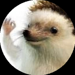 vxxz