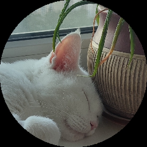 Littury
