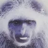 Бибизян_Бибизяновыч