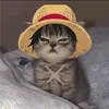 Akio_wh0