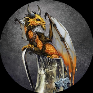 MedDragon