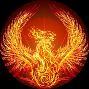 Rise1238228