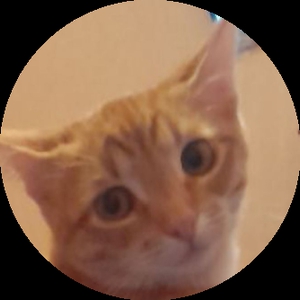 Hegoko