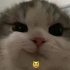 3aMuRa1