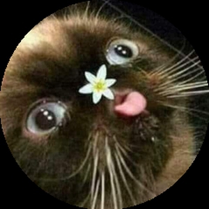 Коточипс