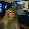BaJlepa_TTapoBo3