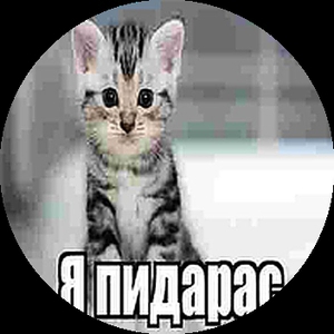 AniJame