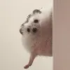 AnanasЫ