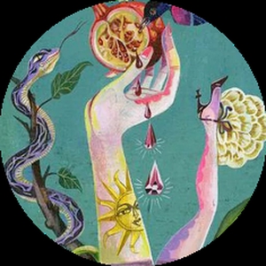 Mm2623