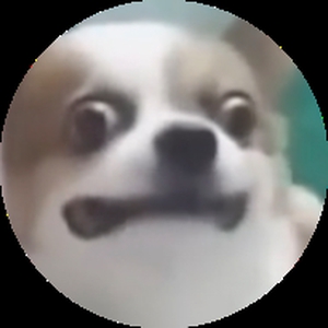 Hioer