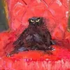 КошкоЛань
