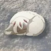 Mem_Chop