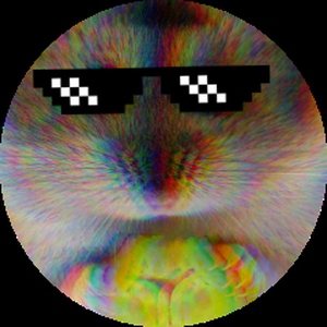 _hamster_